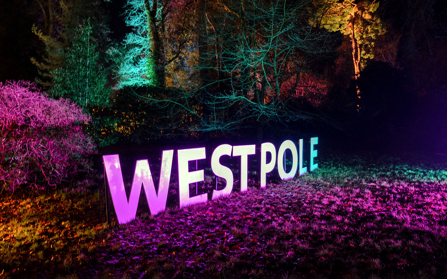 Westonbirt Arboretum Enchanted Christmas light trail in the Cotswolds