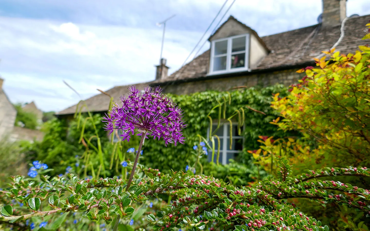 Flower-covered houses on the Chipping Steps in Tetbury