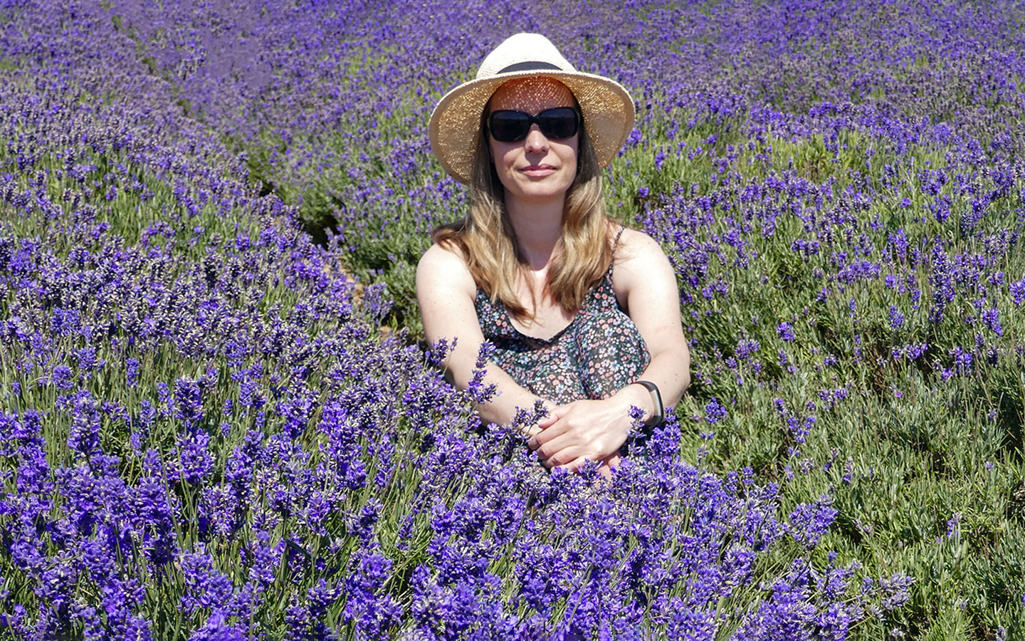 Photo opportunities in the Cotswold Lavender fields