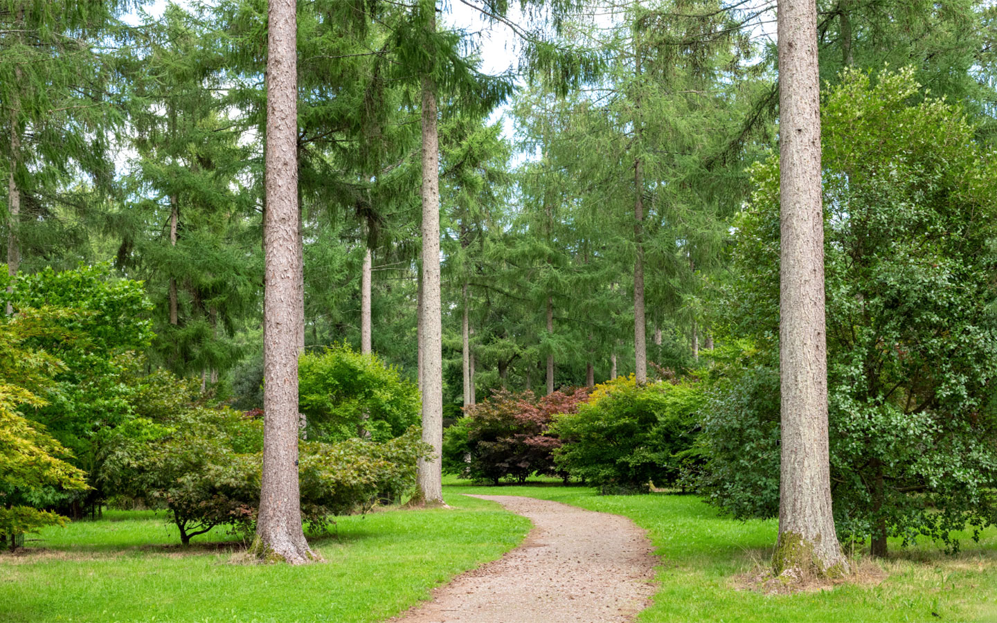 Westonbirt Arboretum