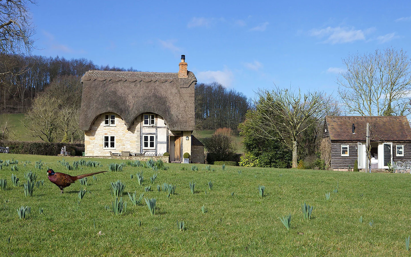 Field Cottage, thatched cottage in the Cotswolds at Elmley Castle