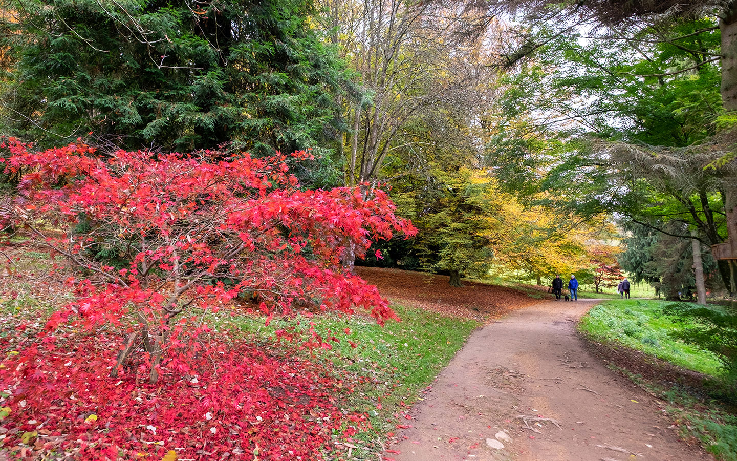 Batsford Arboretum in autumn