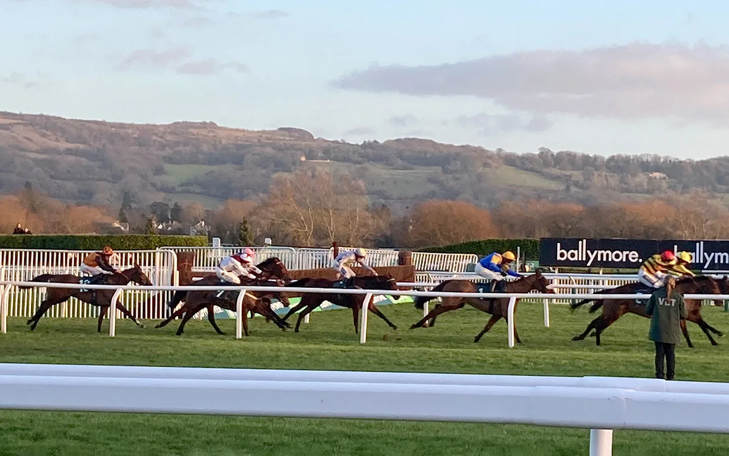 Horses at Cheltenham racecourse