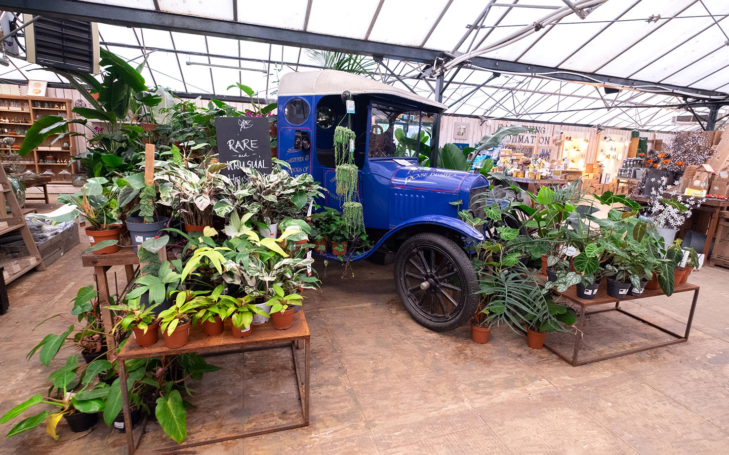 Plants in the shop at Burford Garden Centre