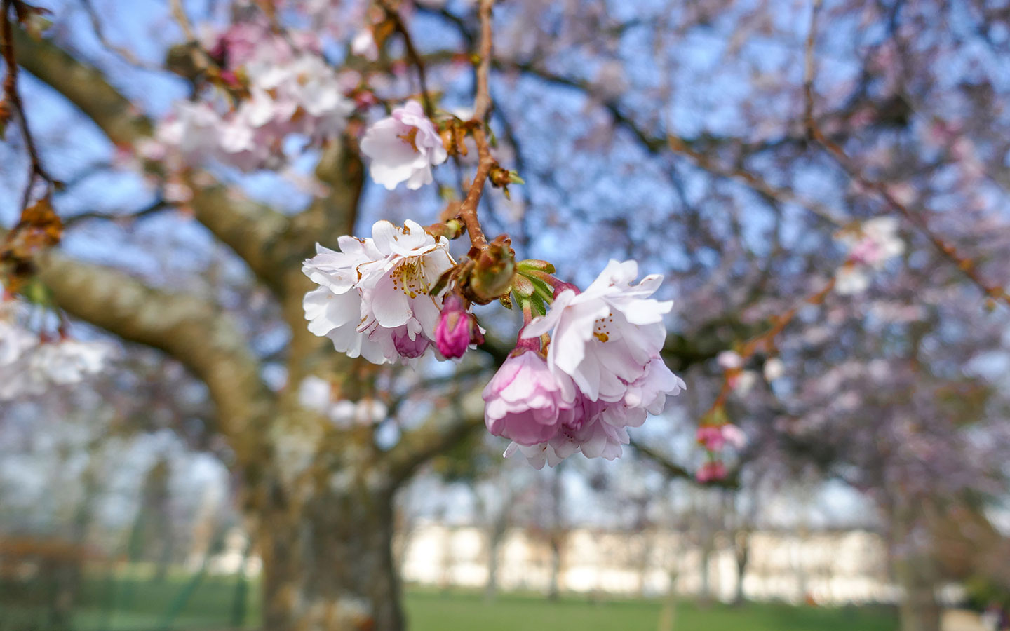 25 of the best things to do in the Cotswolds in spring