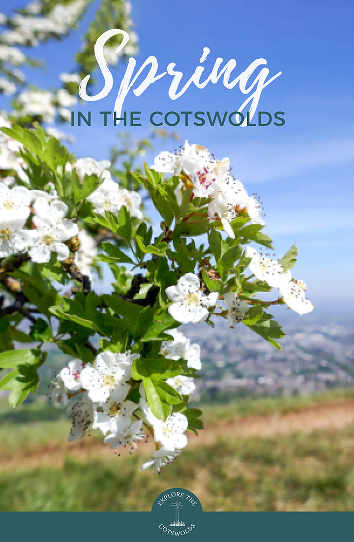 25 of the best things to do in the Cotswolds in spring, from blossom trails and scenic dining to guided walks and Easter egg hunts | Easter in the Cotswolds | Spring in the Cotswolds | Cotswold spring events | Things to do in the Cotswolds