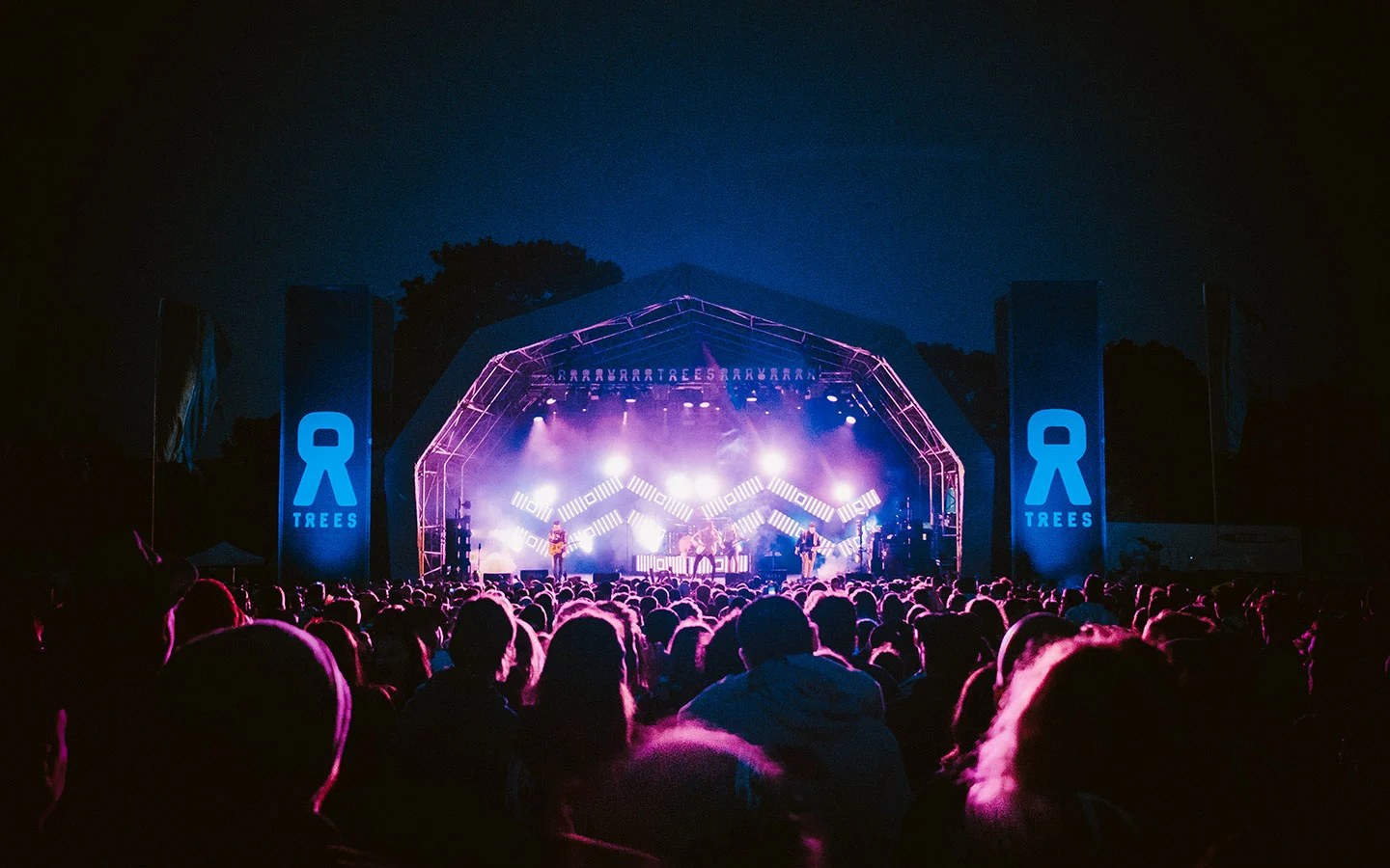 Crowds at the main stage at the 2000 Trees music festival