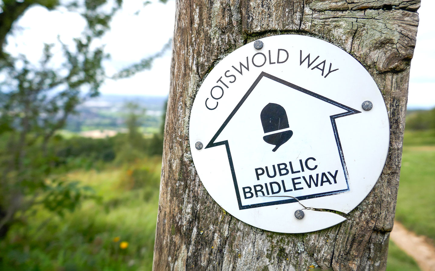 National Trail waymarkers on the Cotswold Way