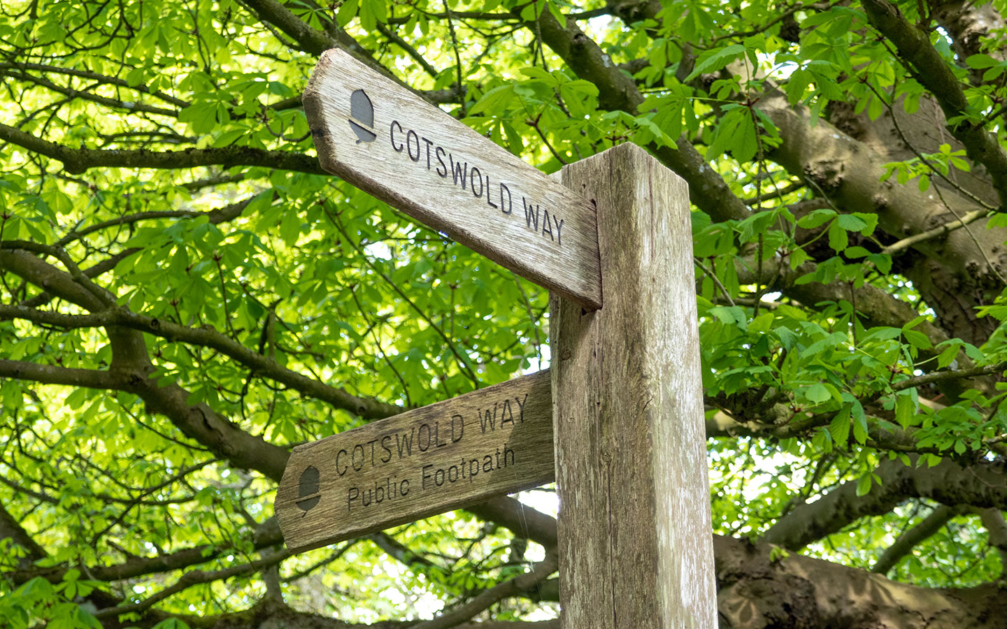 Wooden finger posts on the Cotswold Way