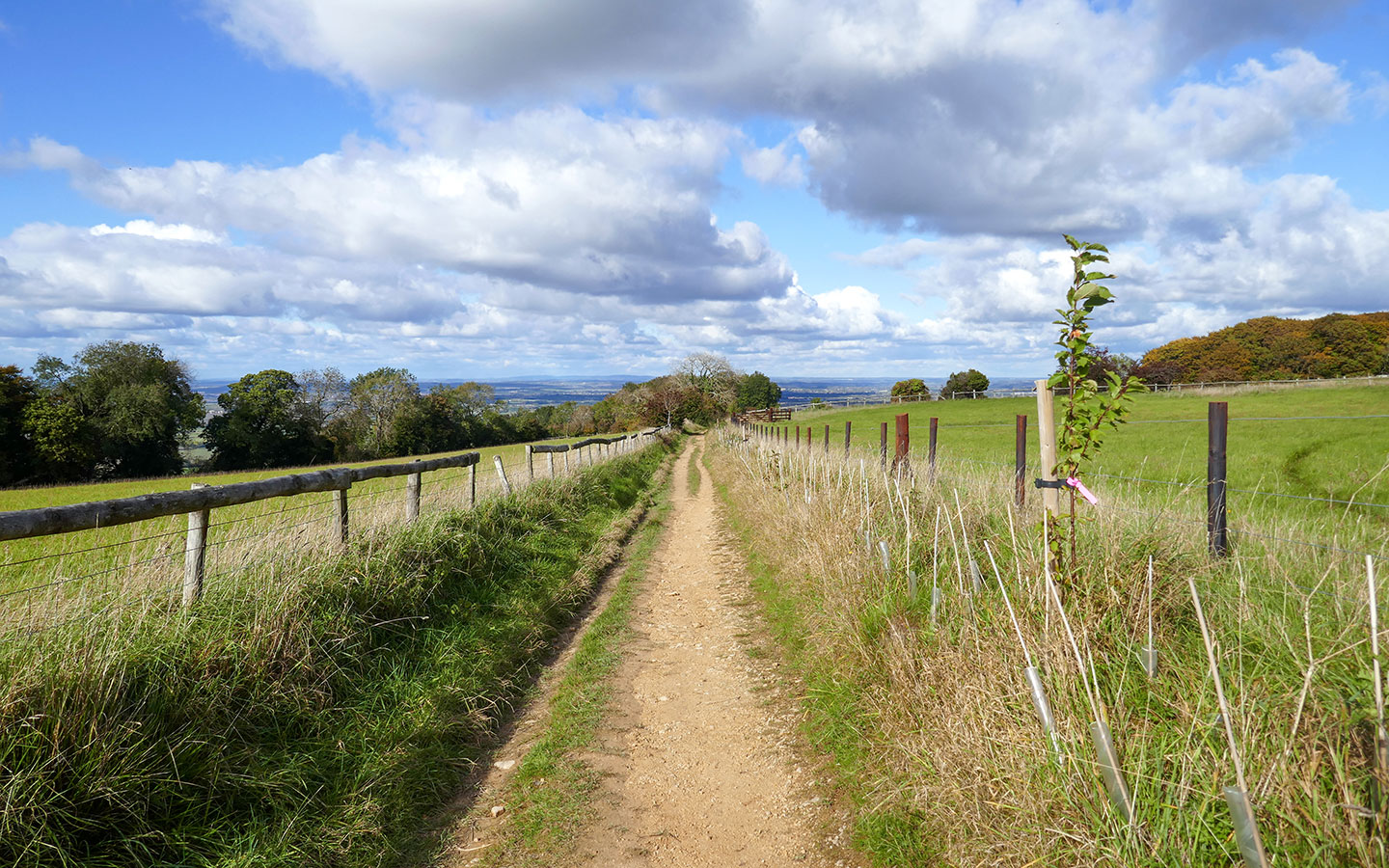 Walking paths near Broadway