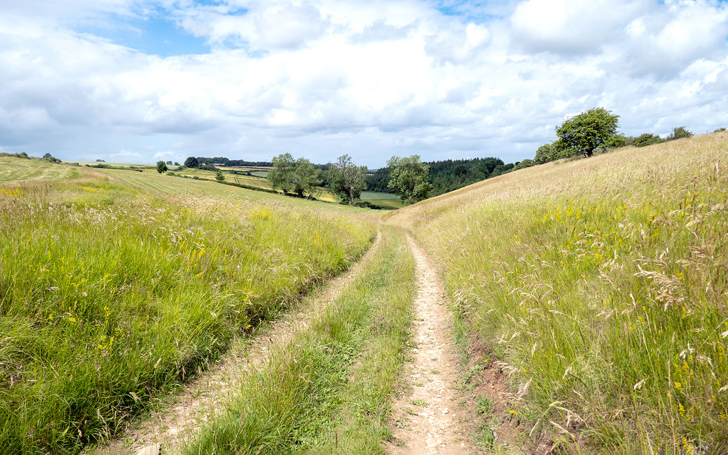 Walking from Coln St Aldwyns to Bibury