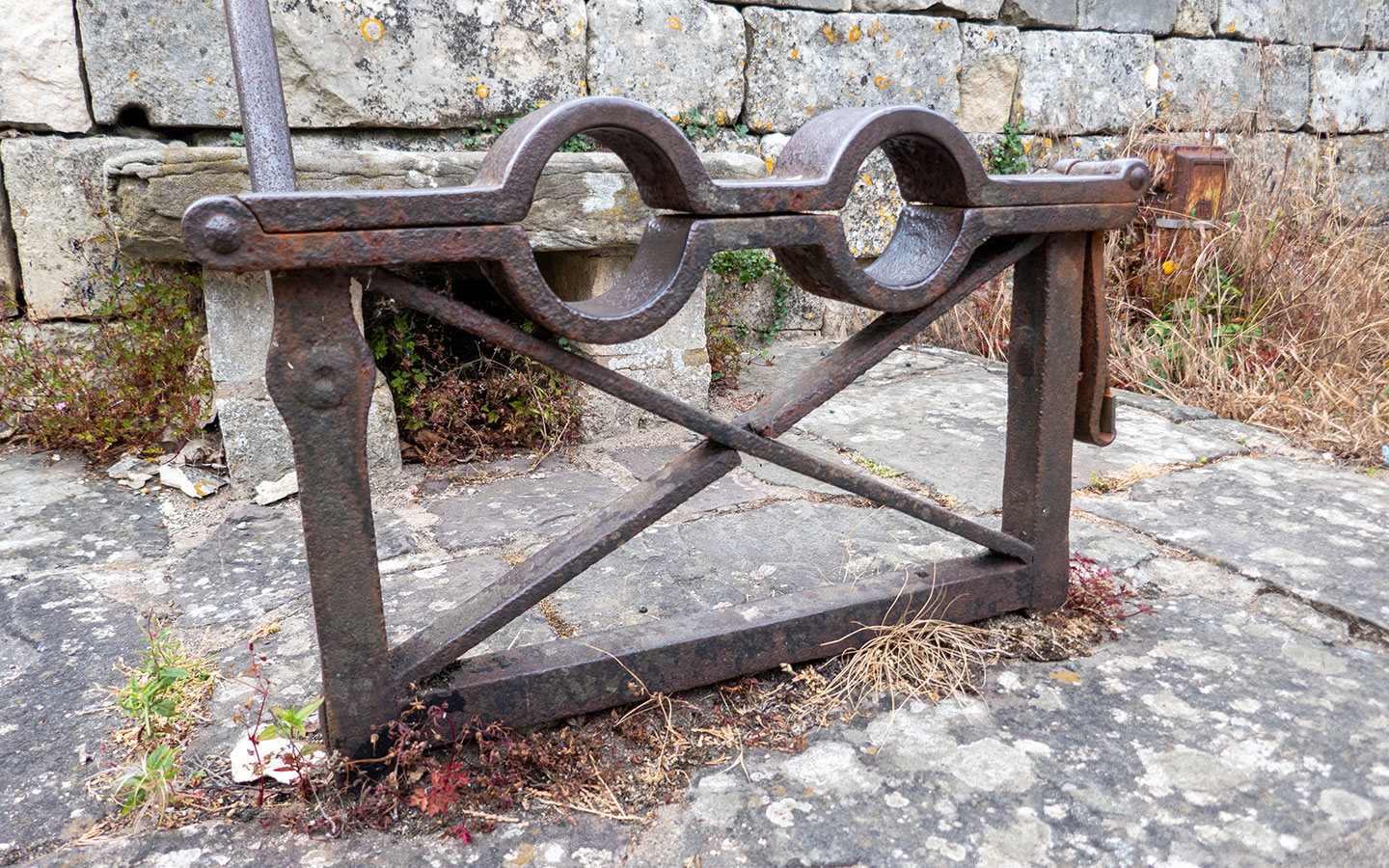 Painswick's unusual spectacle stocks