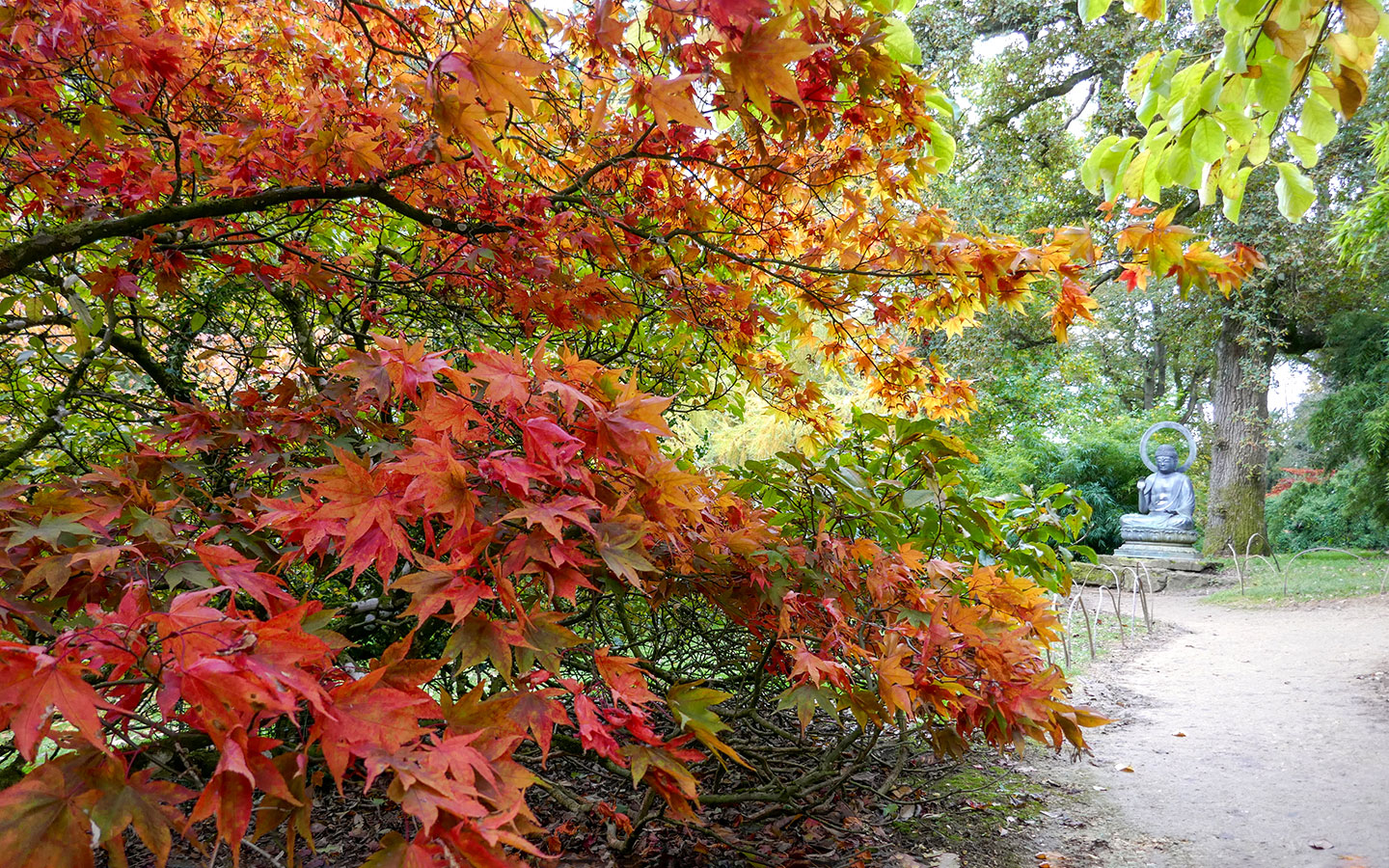 Autumn at Batsford Arboretum