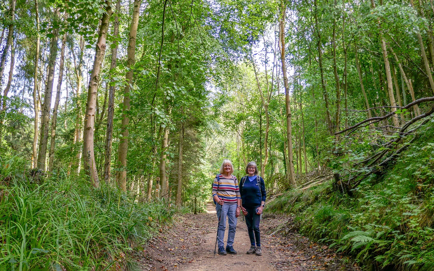 Walking through the woods