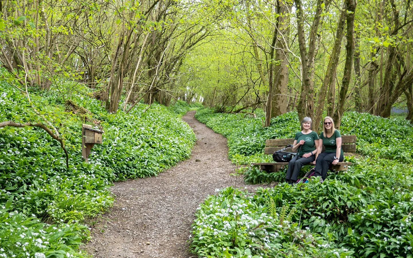 The path and postbox in Dyrham Woods