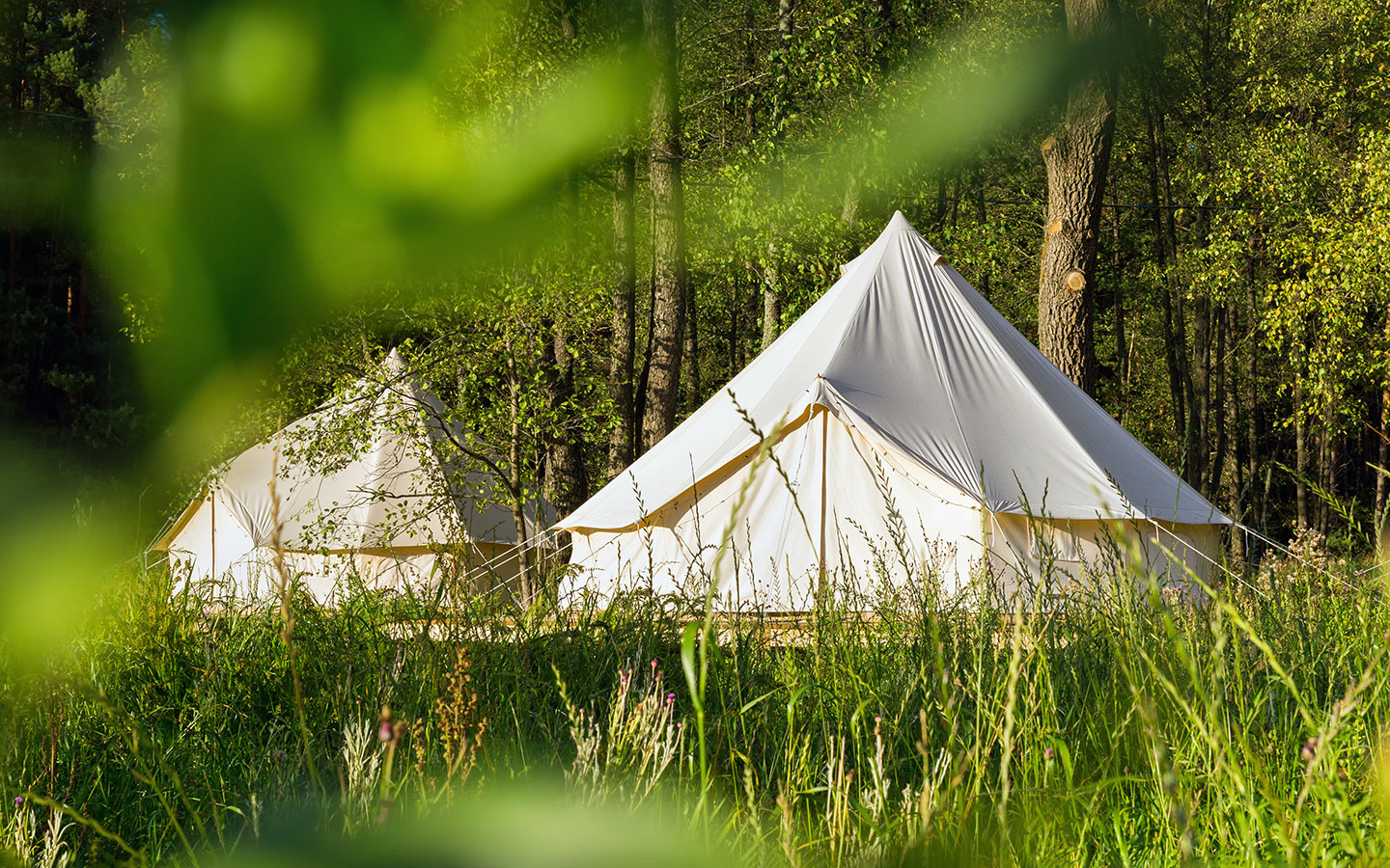 Glamping tents in the Cotswolds in August