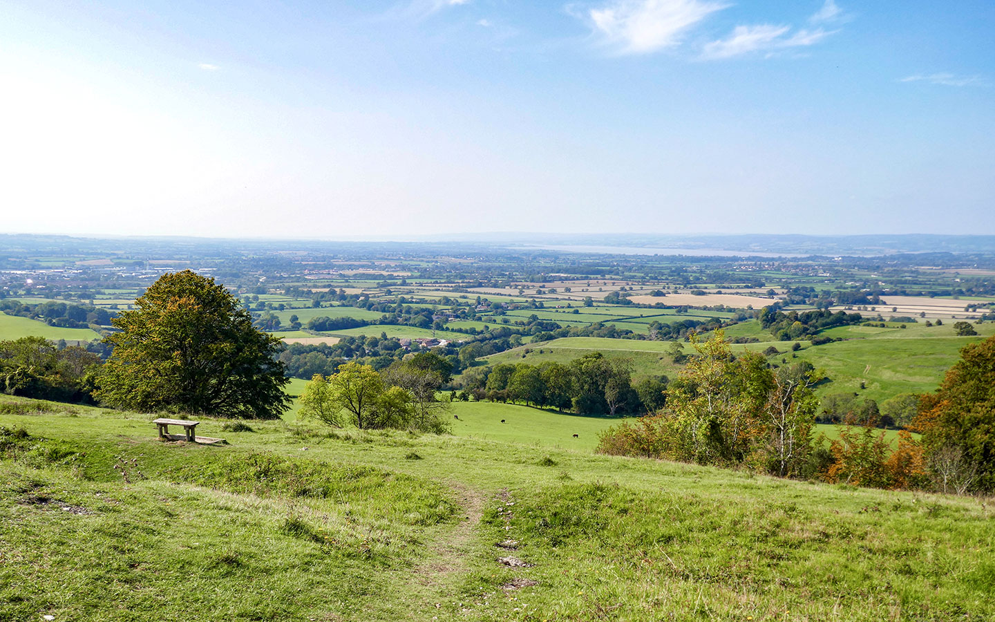 Views from Haresfield Beacon