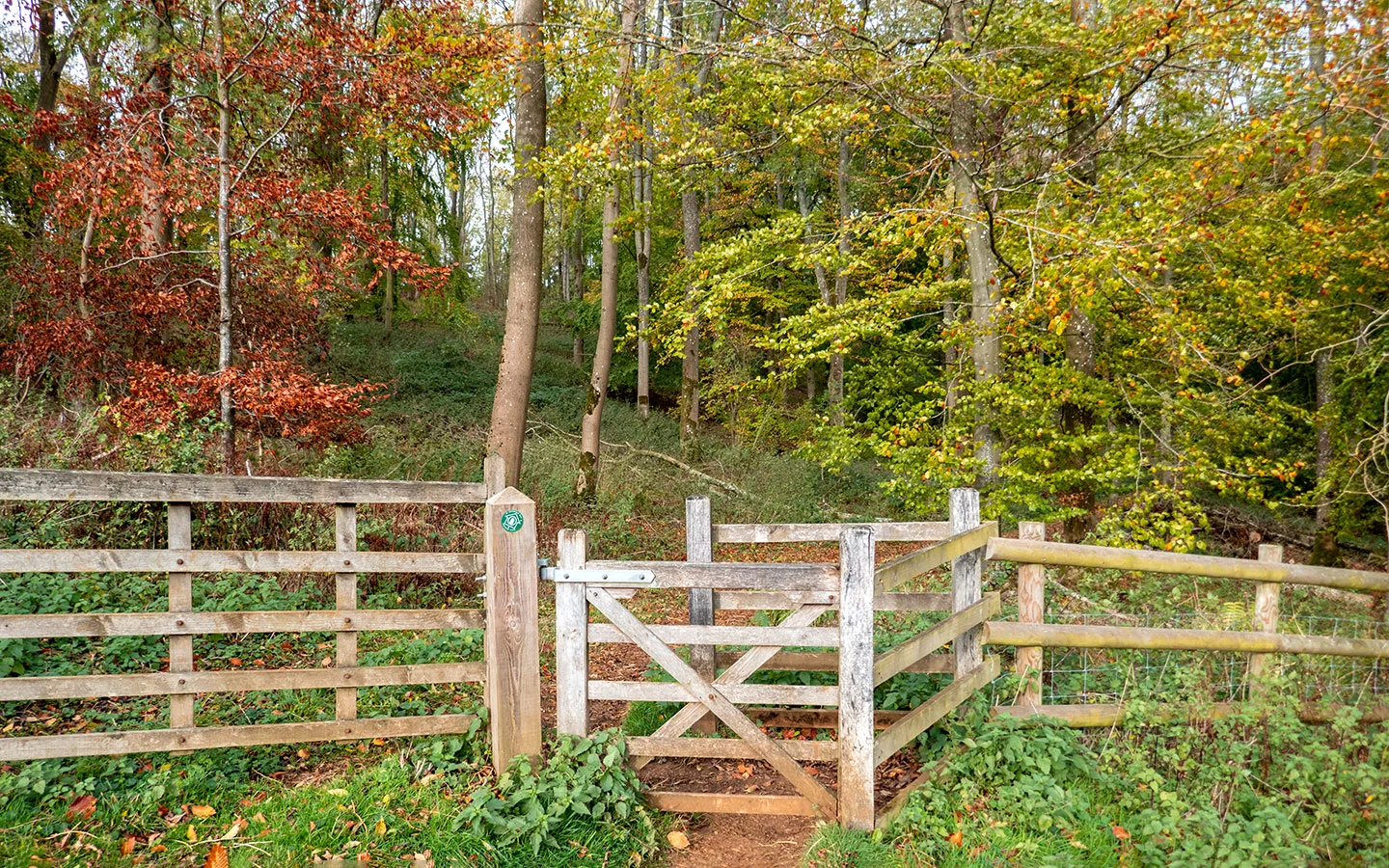 Gateway into Lynches Wood near Chipping Campden