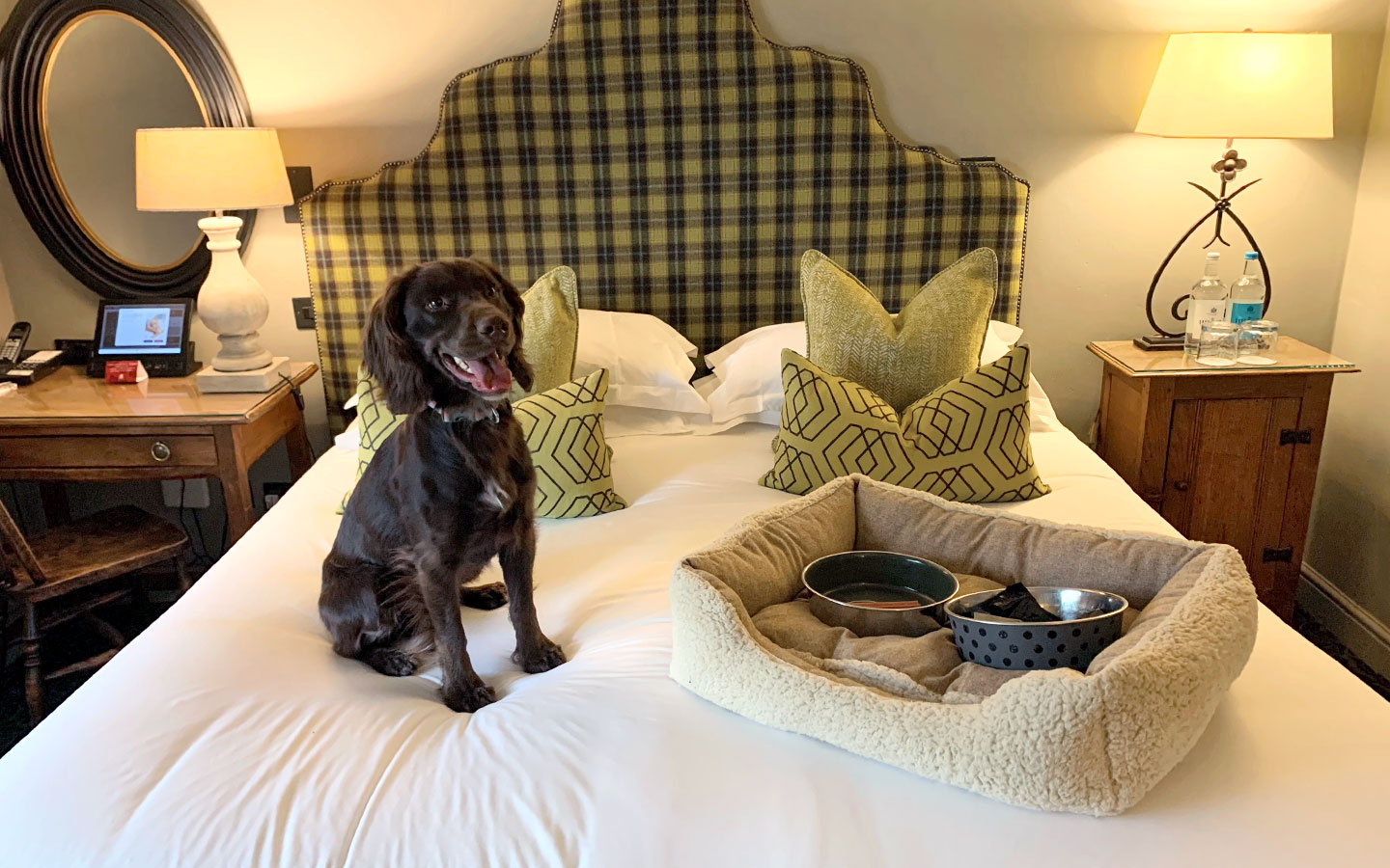 Dog-friendly room at the Lygon Arms, Broadway