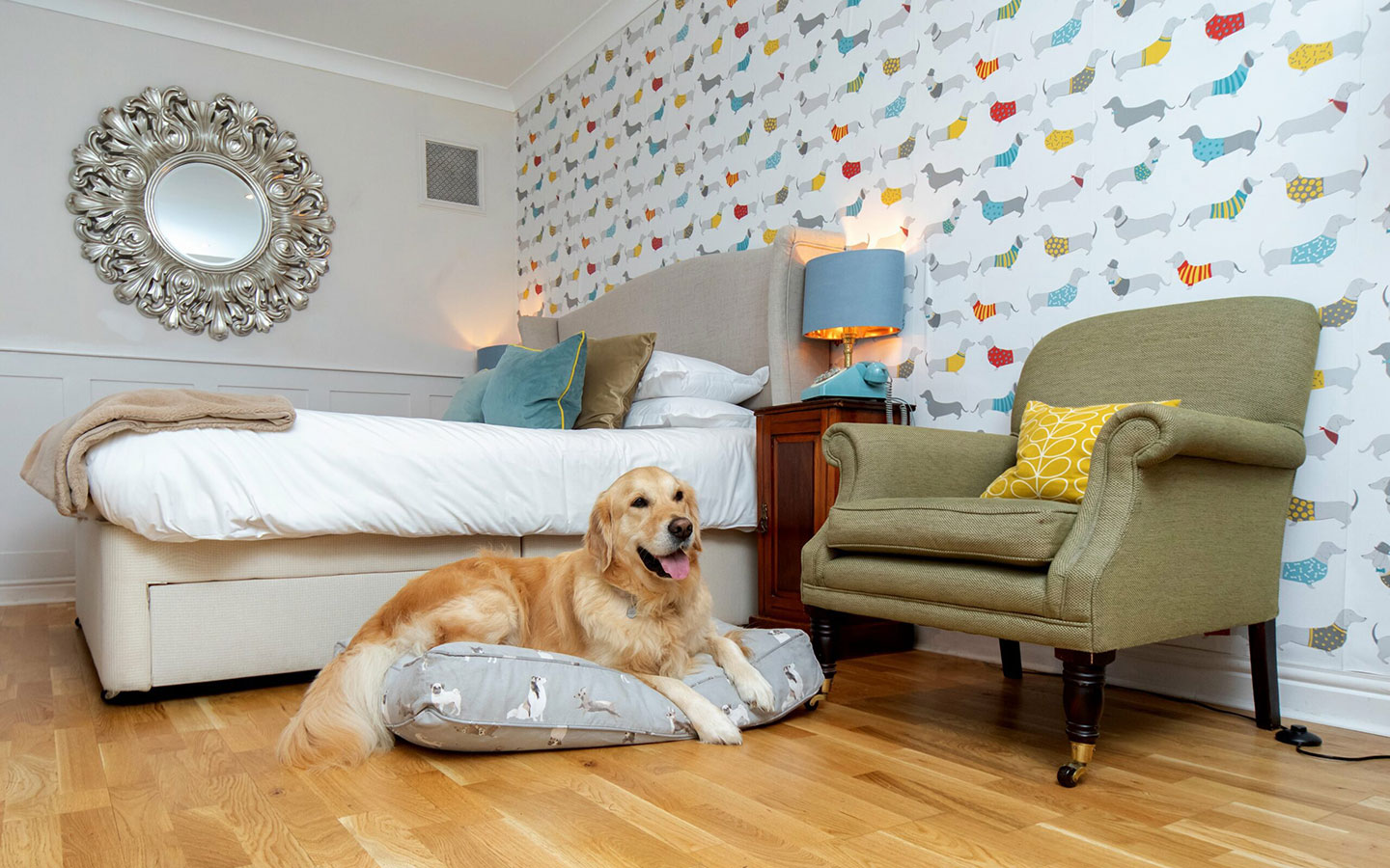 Dog-friendly room at Burleigh Court hotel near Stroud