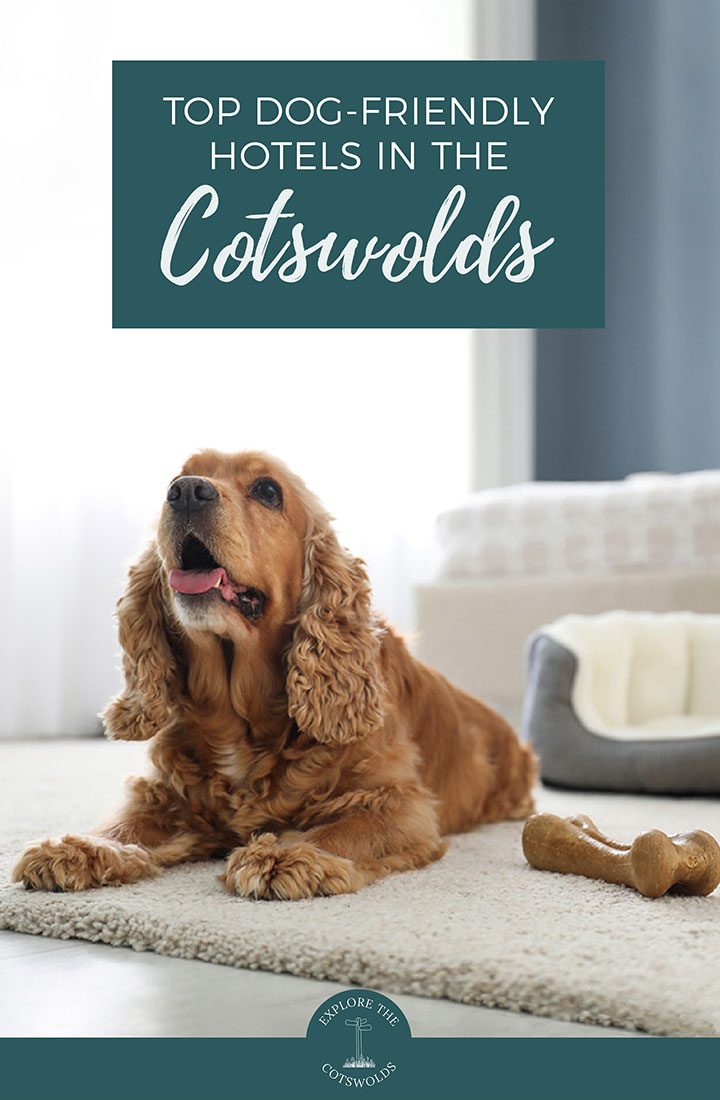 15 fantastic dog-friendly hotels in the Cotswolds – explore the Cotswolds with your dog with our selection of pet-friendly Cotswold hotels | Dog-friendly Cotswolds | Pet-friendly Cotswolds | Cotswolds with a dog 