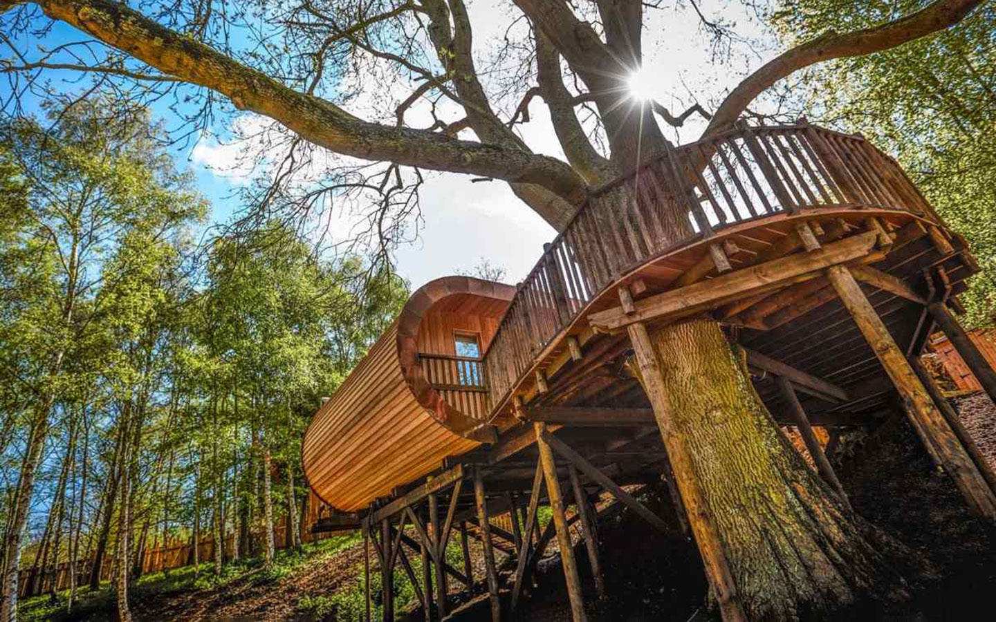 Treehouse at The Fish dog-friendly hotel in the Cotswolds