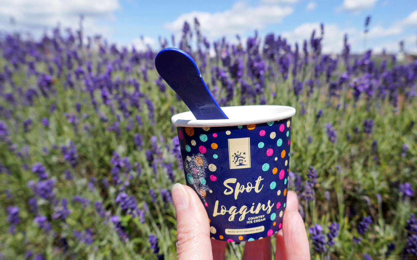 Ice cream in the lavender fields
