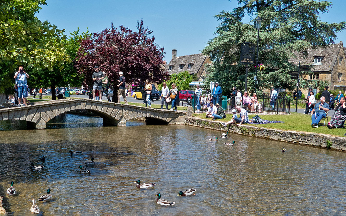 Ducks on the River Windrush in Bourton-on-the-Water