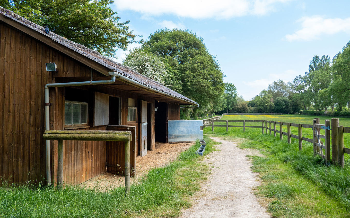 Horse stables and paddock