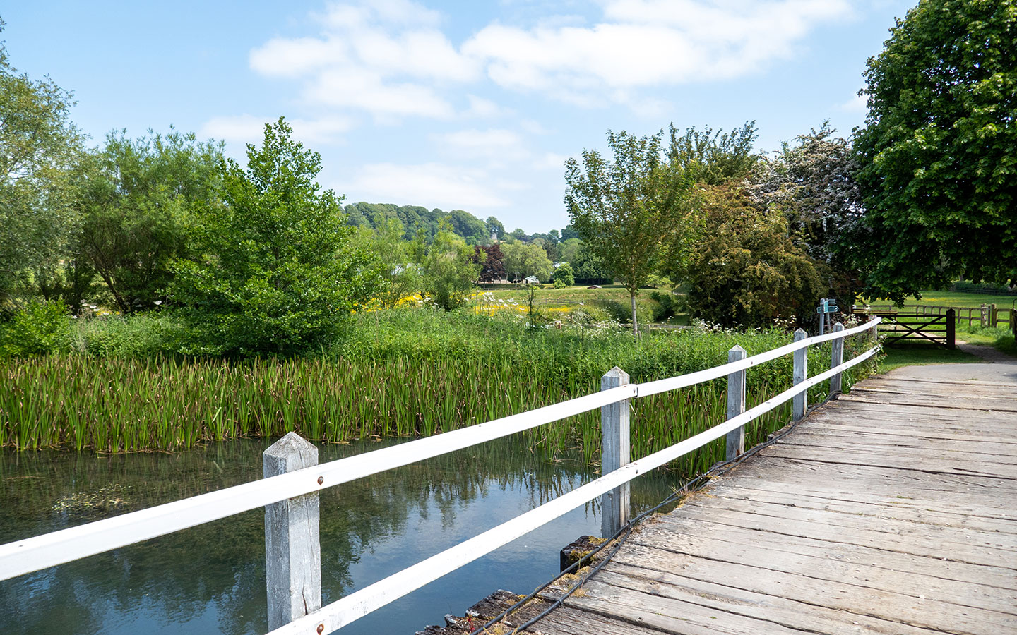 Crossing the River Dikler