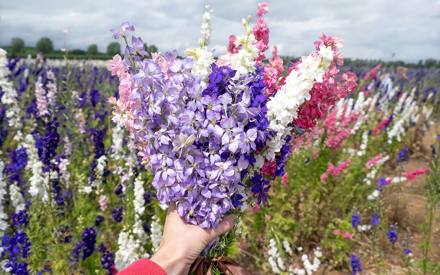 A bouquet of confetti flowers to take home