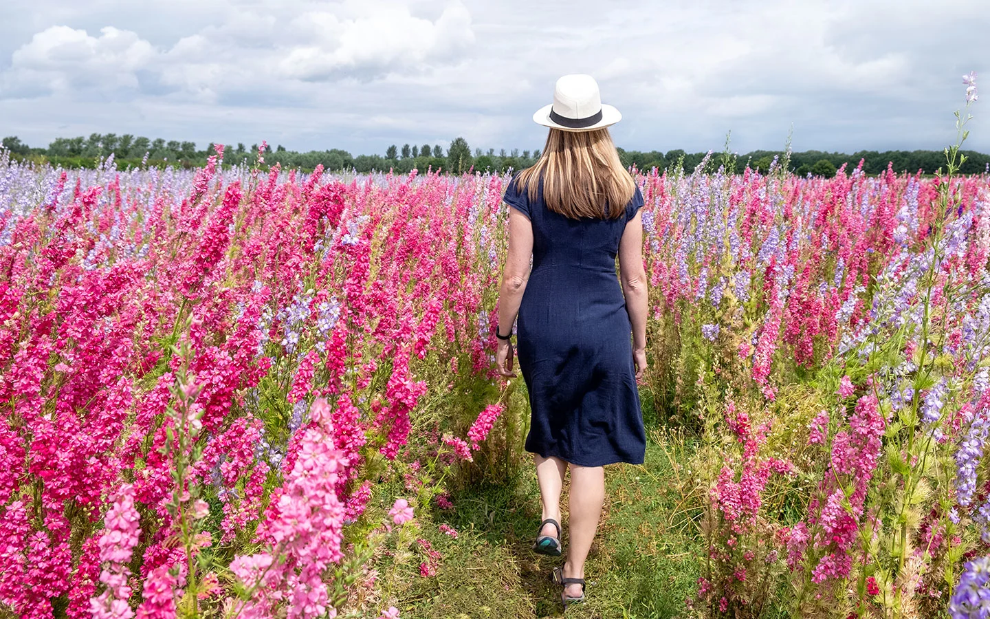 The Confetti Flower Field Open Days - Cotswolds