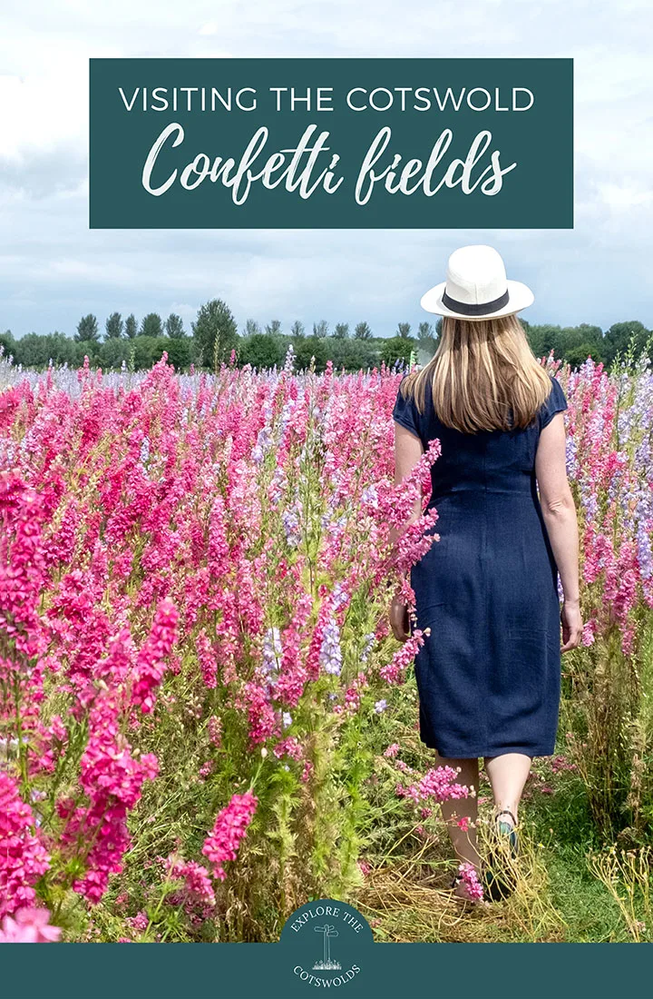 Your guide to visiting the Cotswold Confetti Fields near Pershore, with how to get there, what to do and where to stay and visit nearby | Pershore confetti fields | Confetti fields in the Cotswolds | Cotswold flower fields | Cotswolds confetti field