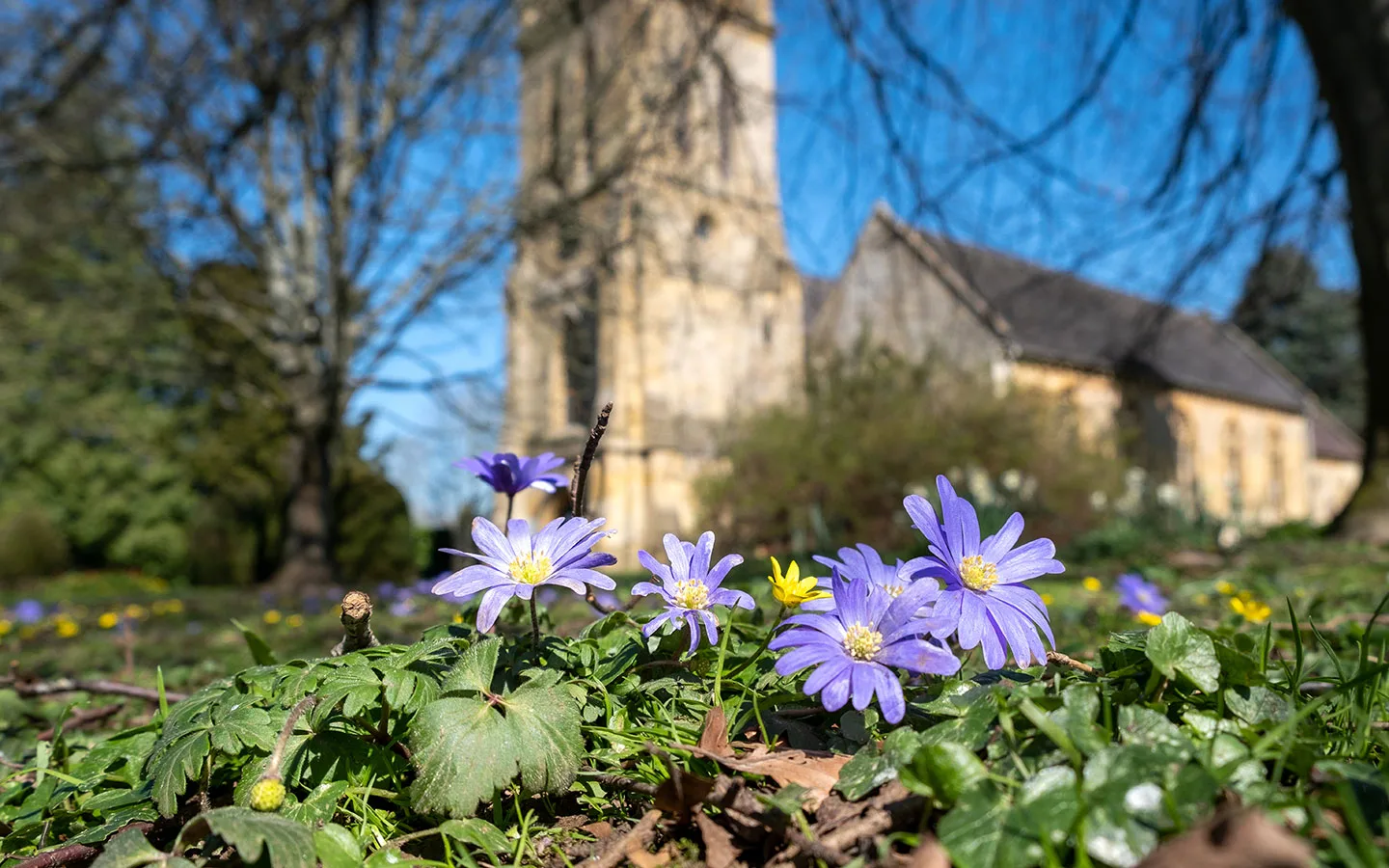 Spring flowers in Moreton-in-Marsh