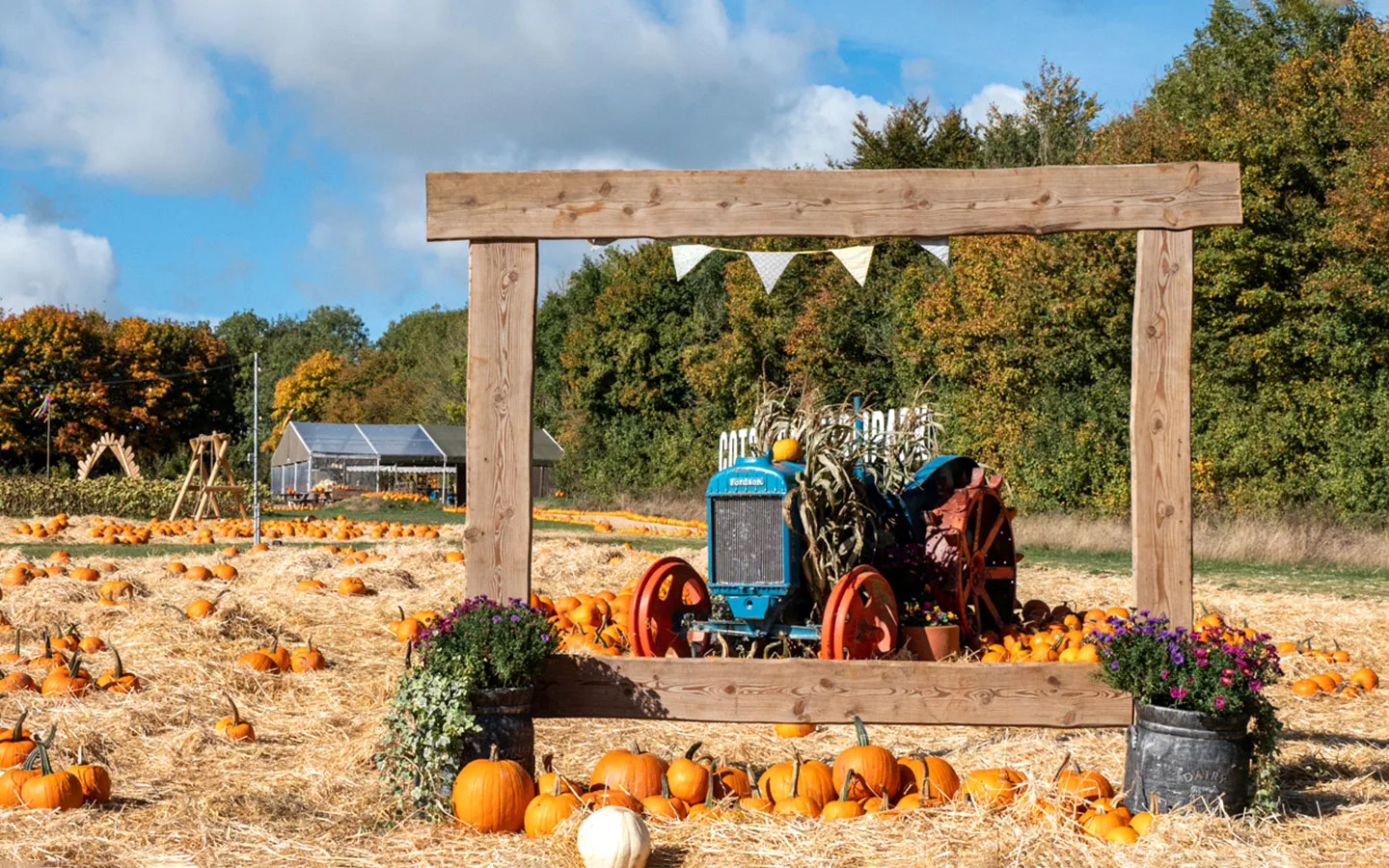 The Cotswold Farm Park Pumpkin Patch