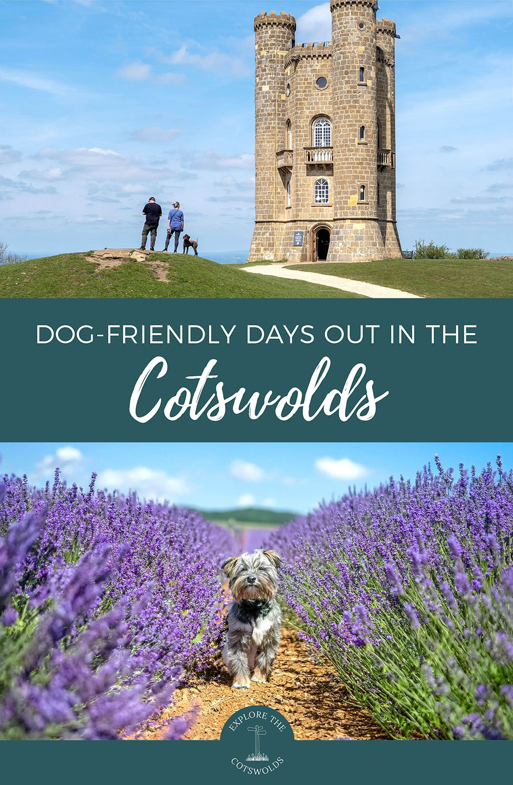 24-great-dog-friendly-attractions-in-the-cotswolds