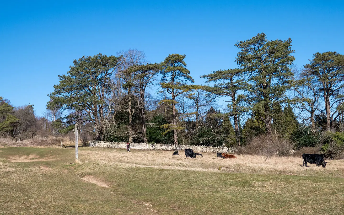 The Cotswold Way running across Painswick Golf Course