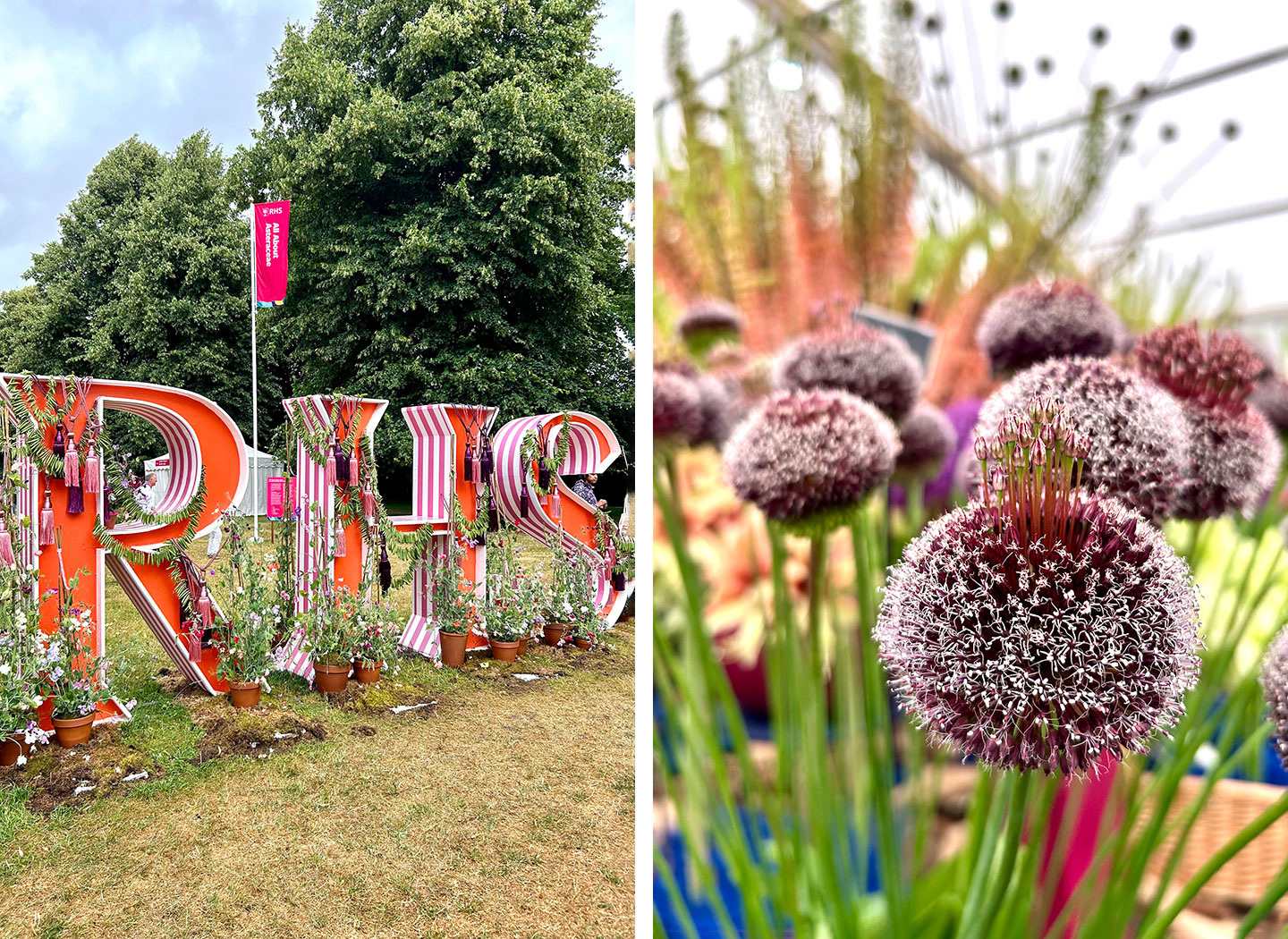 The Royal Horticultural Society Flower Show