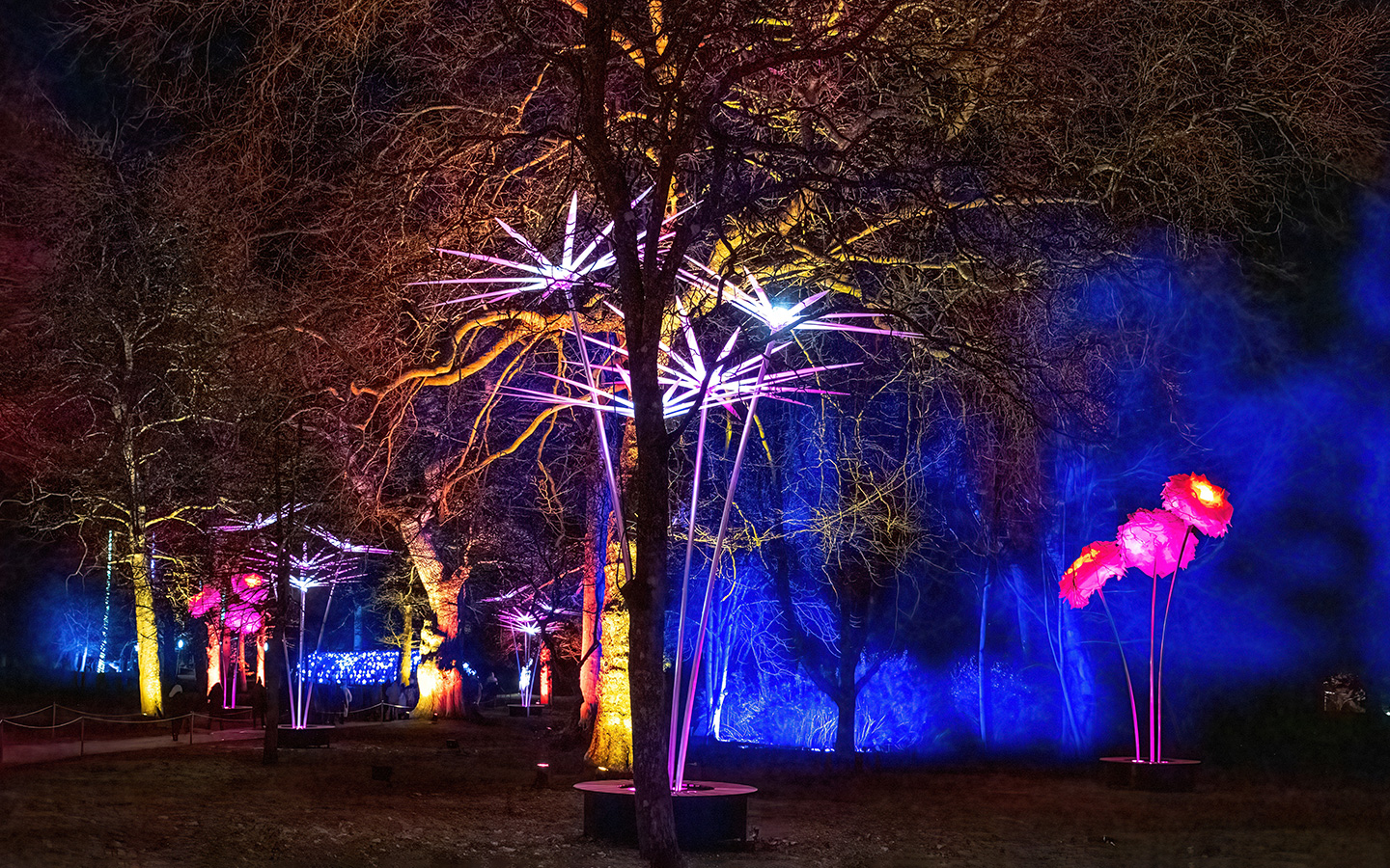 Colourful trees at Blenheim Palace Illuminated Light Trail