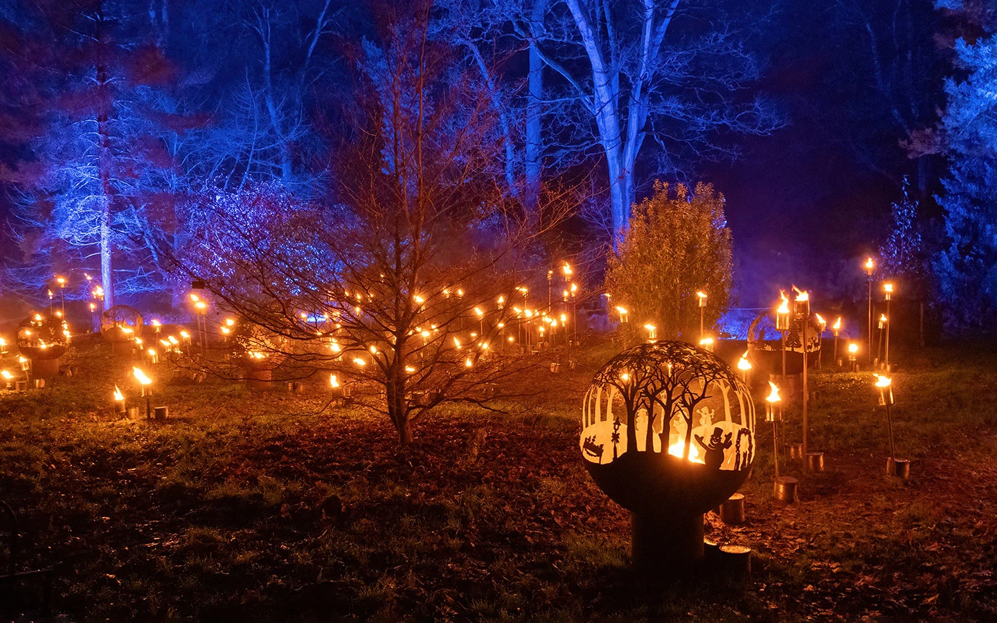 Westonbirt Arboretum Christmas light trail in the Cotswolds