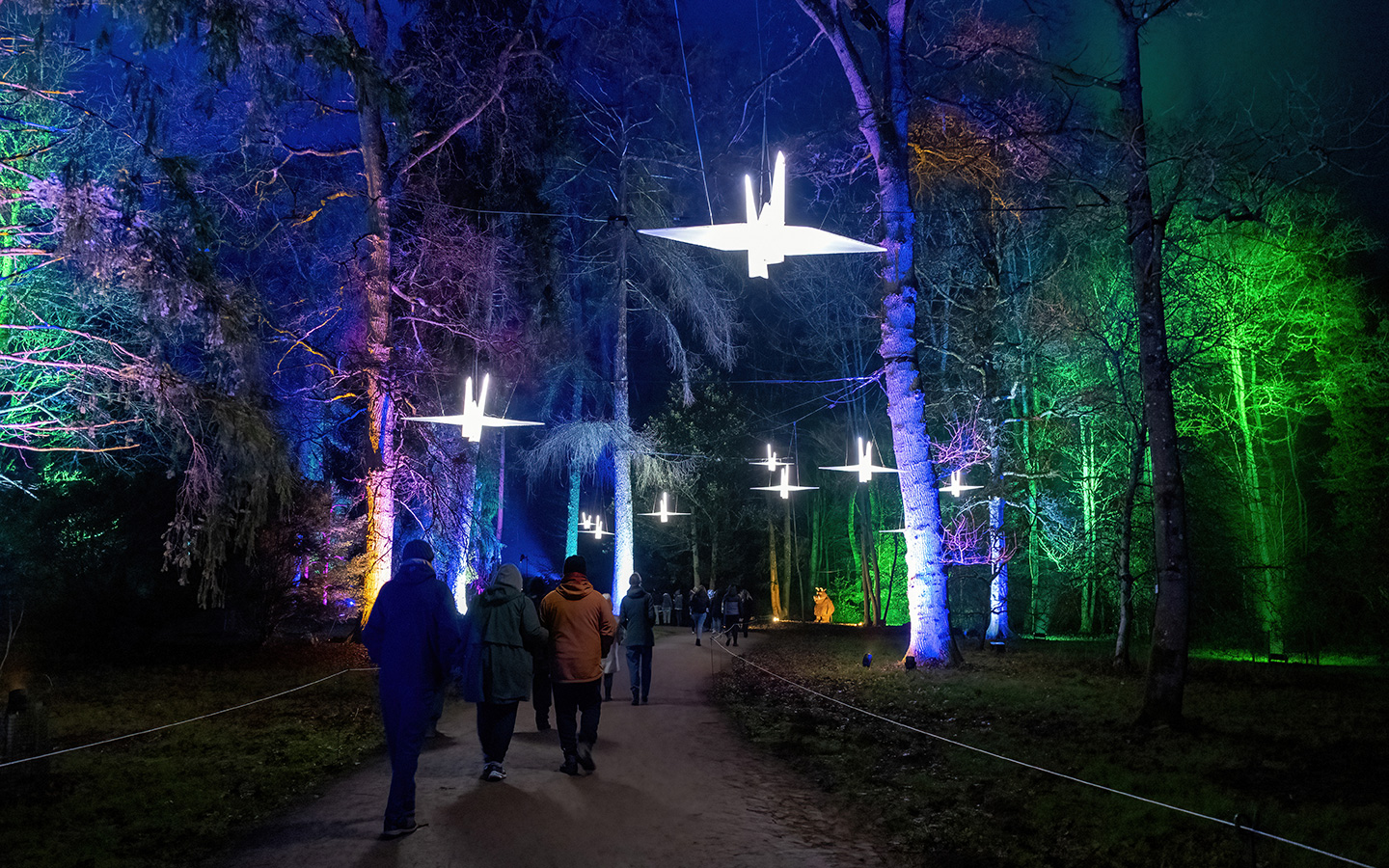 Westonbirt Arboretum crane lights