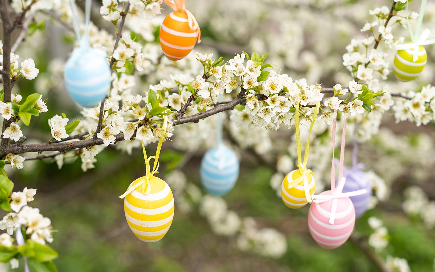 Things to do at Easter in the Cotswolds: 17 Easter events and activities