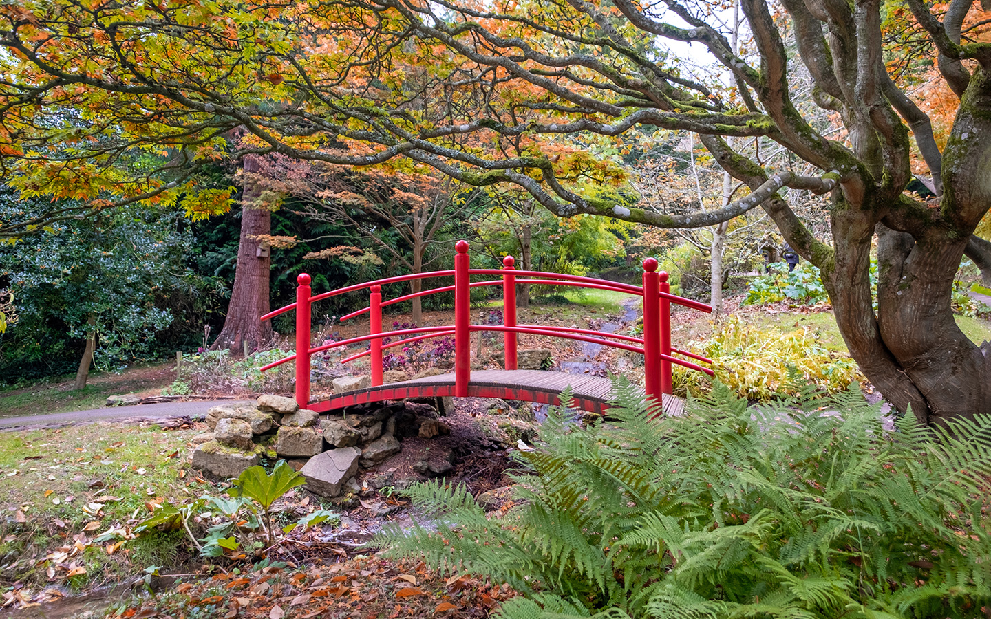 Batsford Arboretum in autumn