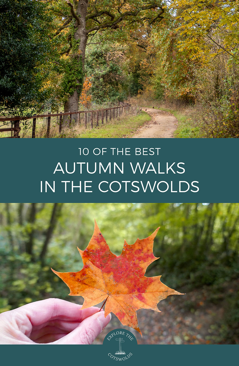 10 of the most colourful autumn walks in the Cotswolds, from colourful beechwoods and arboretums to pretty villages and panoramic views | Cotswold walks | Cotswolds in autumn | Autumn in the Cotswolds | Autumn walks