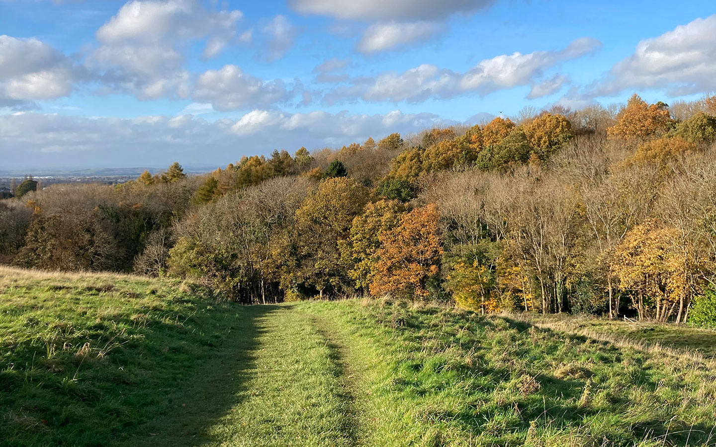 Looking down onto Lineover Wood near Cheltenham